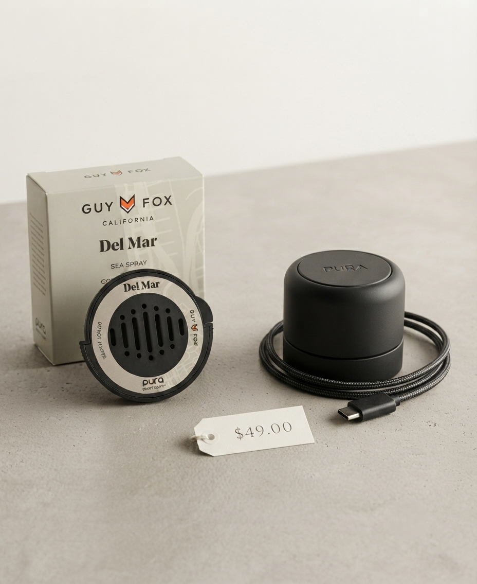Pura car diffuser price
